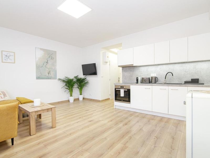 Open-plan apartment with kitchen and seating area